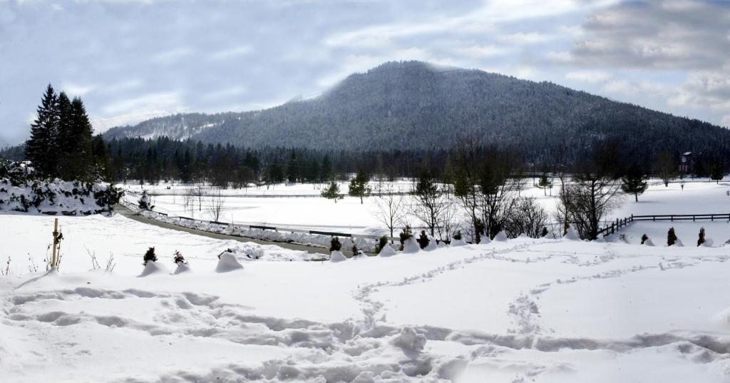 Landhaus Am Golfplatz Seefeld no Tirol Exterior foto